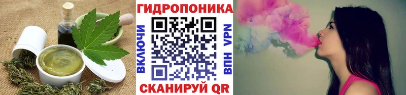 где купить наркоту  Вельск  Cannafood конопля 