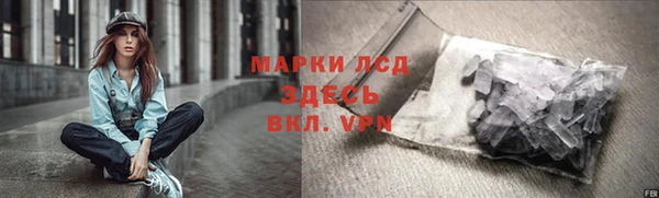 ГАЛЛЮЦИНОГЕННЫЕ ГРИБЫ Семёнов