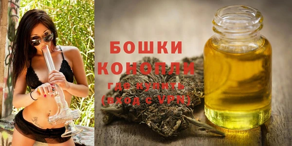шишки Аркадак