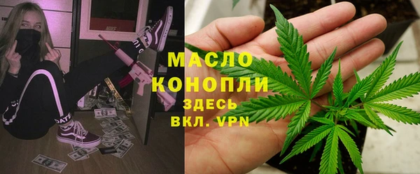 шишки Аркадак